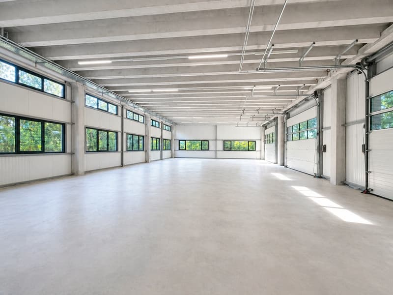 Espace industriel au Landeron - Neuchâtel - RDC - Grande porte (7)