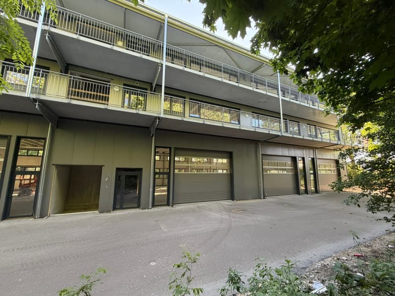 Espace industriel au Landeron - Neuchâtel - RDC - Grande porte (10)