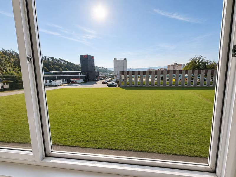 A louer, 100 m2 Rénové, flexibles pour diverses activités professionnelles ou privé (10)