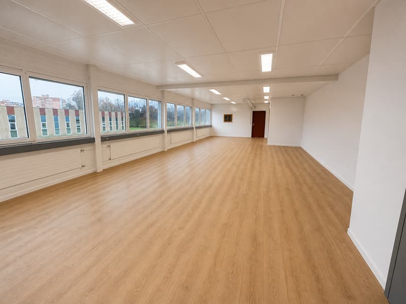 A louer, 100 m2 Rénové, flexibles pour diverses activités professionnelles ou privé (2)