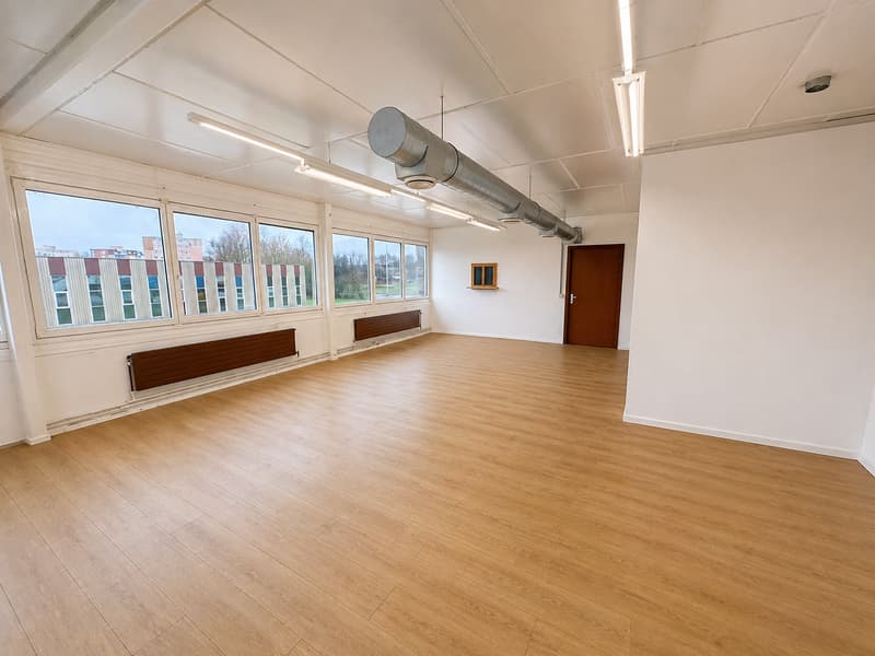 A louer, 100 m2 Rénové, flexibles pour diverses activités professionnelles ou privé (3)