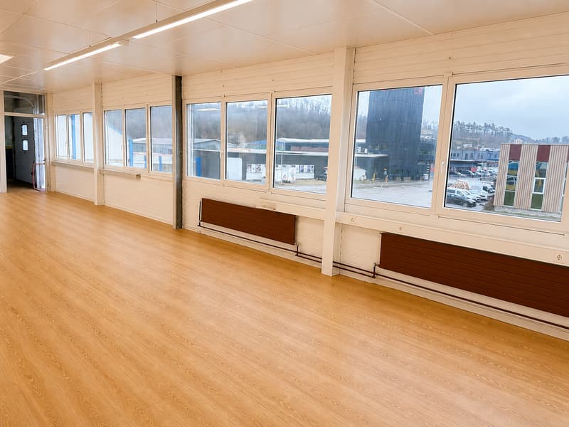 A louer, 100 m2 Rénové, flexibles pour diverses activités professionnelles ou privé (4)