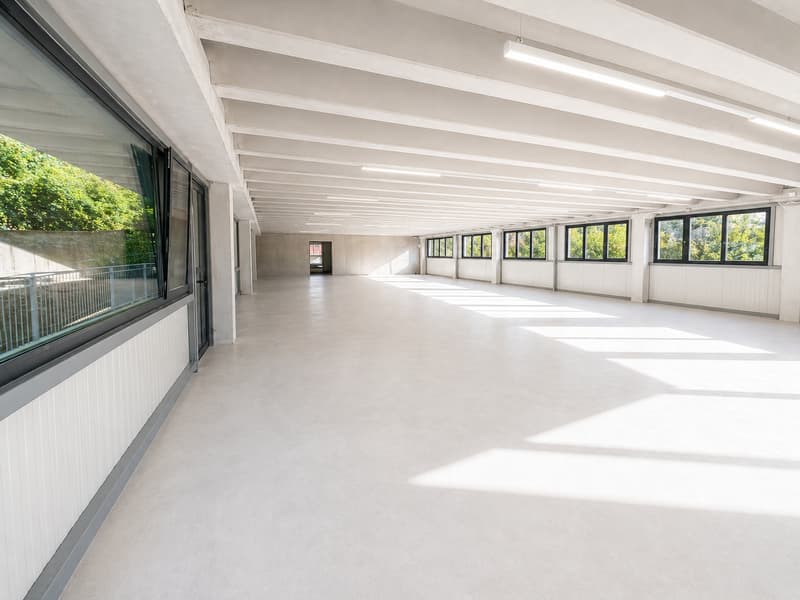 350 m2 d'espace de travail au Landeron, Industriel et Artisanal (3)
