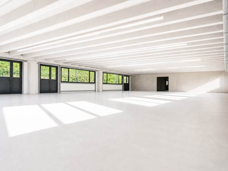 350 m2 d'espace de travail au Landeron, Industriel et Artisanal (6)