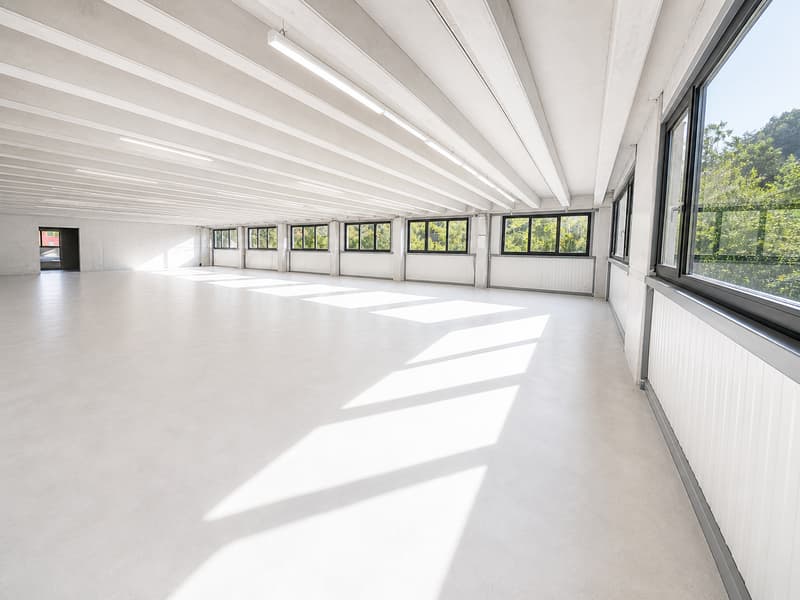 350 m2 d'espace de travail au Landeron, Industriel et Artisanal (4)