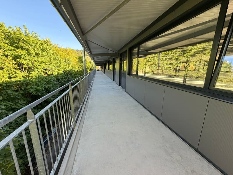 800 m2 Espace industriel/artisanal au Landeron / Neuchâtel (10)