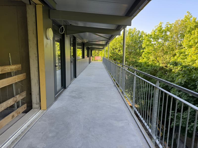 800 m2 Espace industriel/artisanal au Landeron / Neuchâtel (12)
