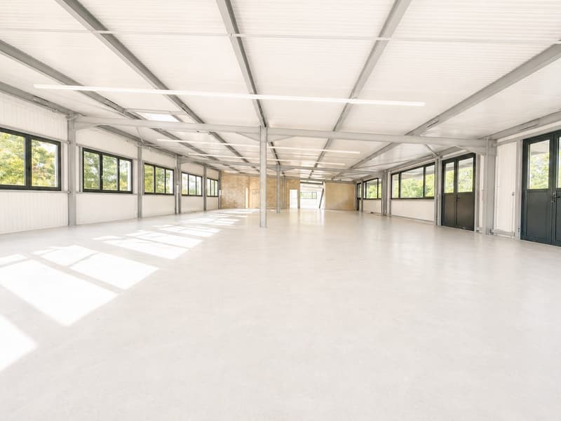 800 m2 Espace industriel/artisanal au Landeron / Neuchâtel (5)