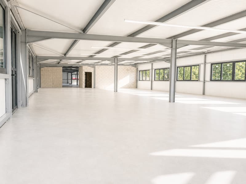 800 m2 Espace industriel/artisanal au Landeron / Neuchâtel (1)