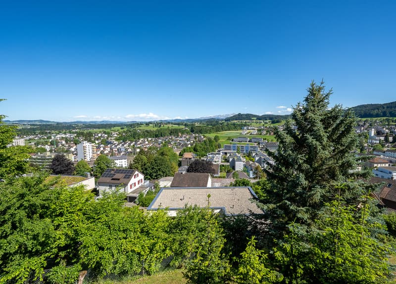 Privilegierte Lage mit Weitblick – 1'512 m² exklusives Bauland in Oberuzwil (3)