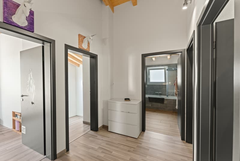 Votre future maison à Salvan : 6 pièces et 1'080 m² de terrain (11)