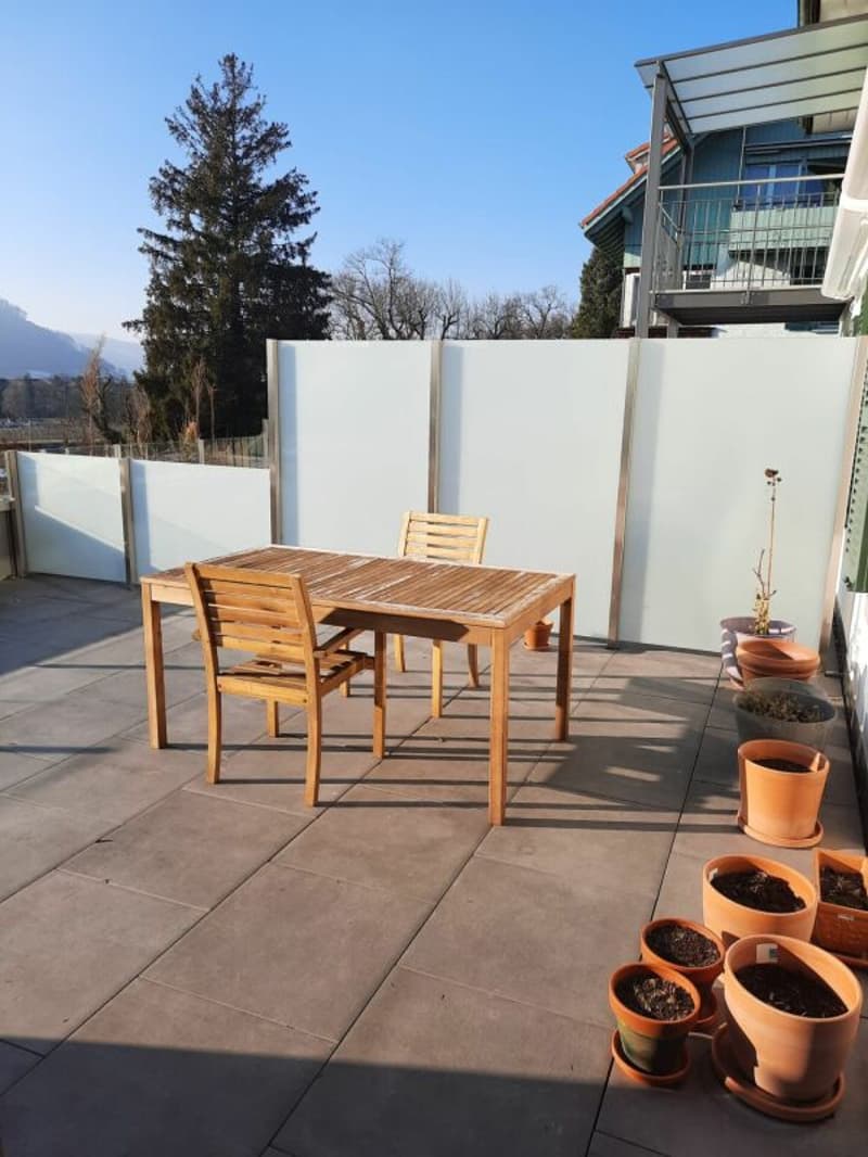 3,5 Zimmer Wohnung mit grosser Terrasse und Sicht auf die Berge! (6)