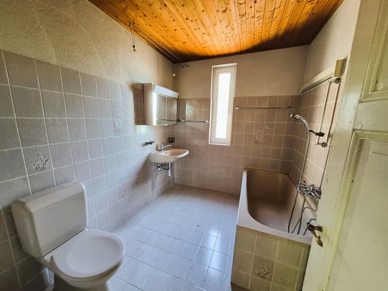 Ideal pour un projet de rénovation (11)