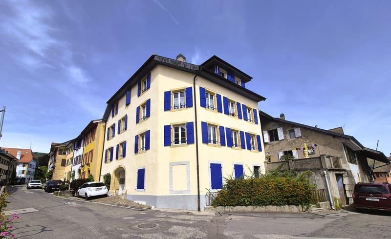 Appartement de charme refait à neuf (8)