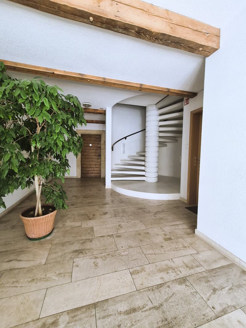 Appartement de charme refait à neuf (9)