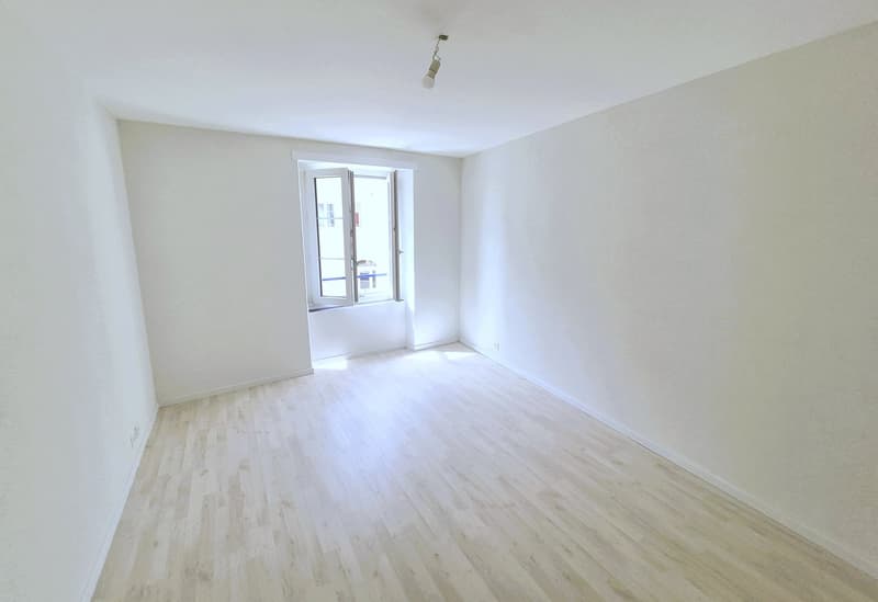 Appartement de charme refait à neuf (6)