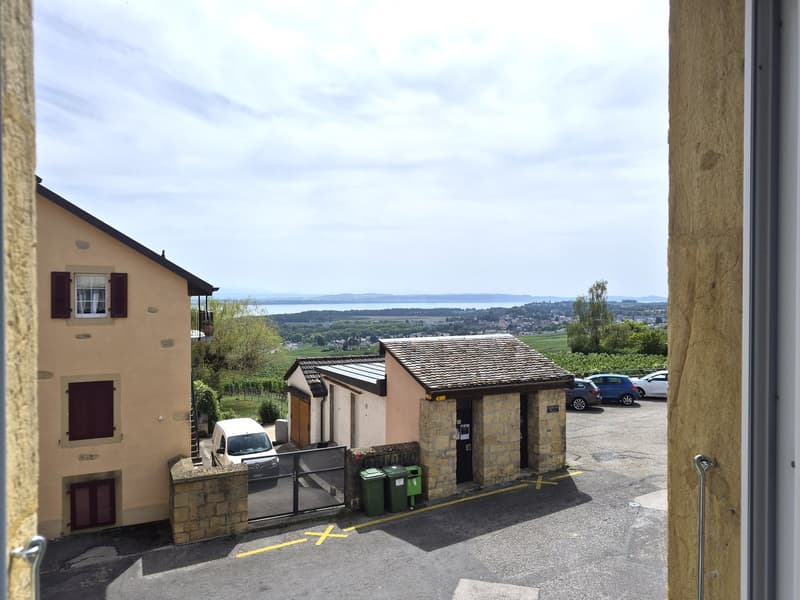 Appartement de charme refait à neuf (7)