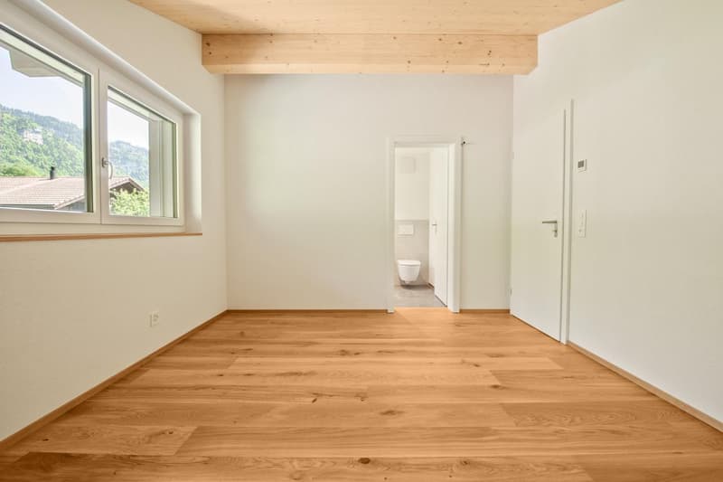 3.5-Zimmer-Dachwohnung mit Bergpanorama - Neubau (9)