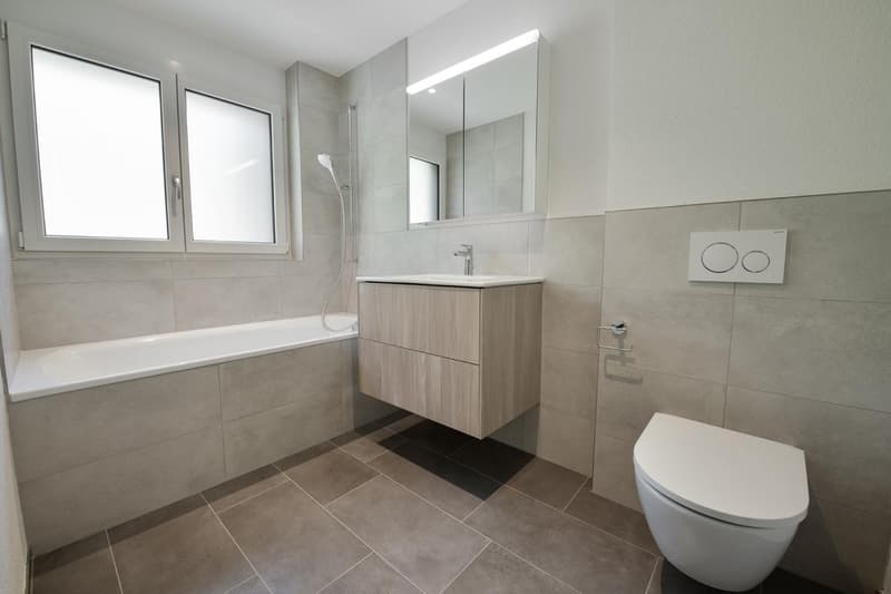3.5-Zimmer-Dachwohnung mit Bergpanorama - Neubau (10)