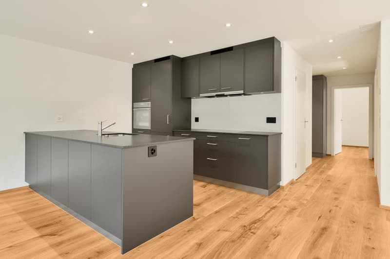 Neubau-Terrassenwohnung mit Bergblick (12)