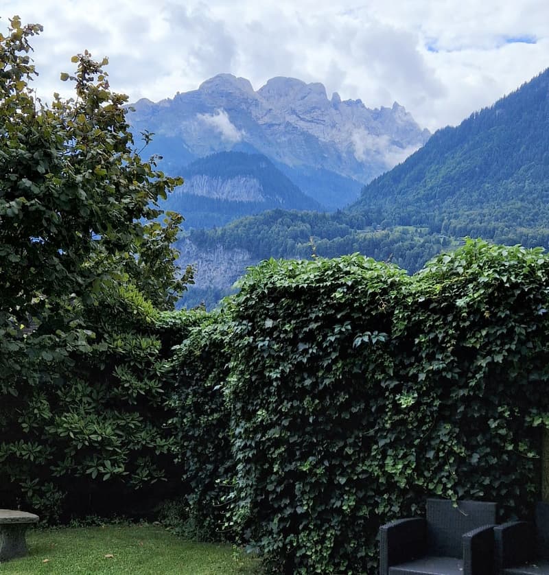 Moderne 3.5-Zimmer-Terrassenwohnung - private Wohnoase in Meiringen (9)