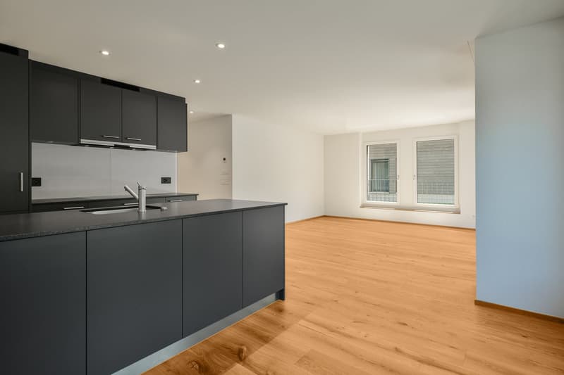 Neue 3.5-Zimmerwohnung mit grosszügiger Aussenfläche (Erstbezug) (23)