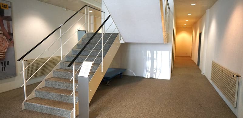 Corridor, staircase, bench, white walls, brown carpet, hallway with windows, white handrails, signboard