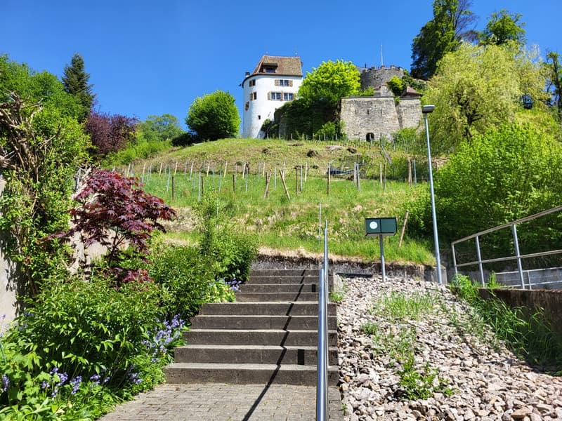 Charmantes Reiheneinfamilienhaus an zentraler Lage (4)