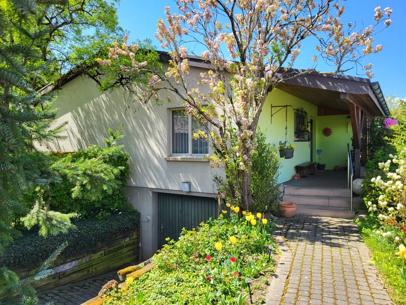 Ein Zuhause zum Wohlfühlen  charmantes Haus mit idyllischem Garten (5)