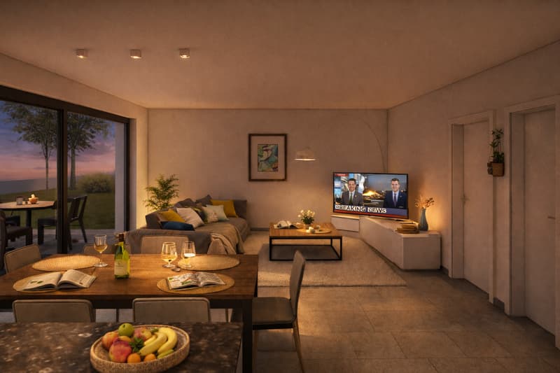 Nouvelle villa individuelle de 6,5 pièces ? beaux volumes et architecture contemporaine (4)