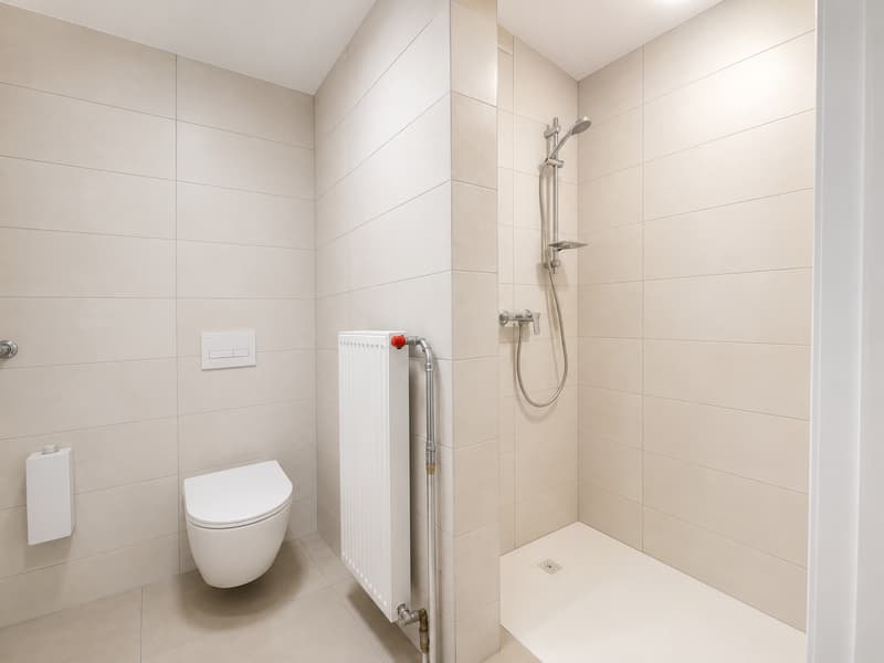 Magnifique 4,5 pièces entièrement rénové de 97 m² au coeur de Rossemaison (5)
