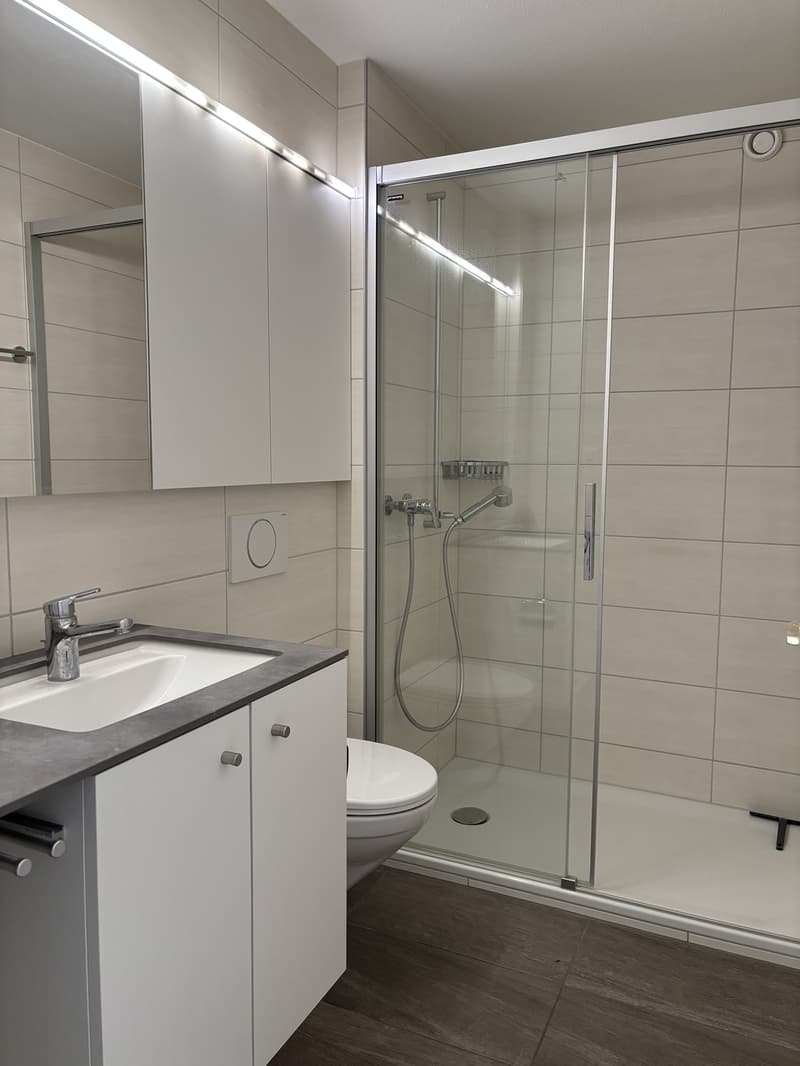 3.5-room apartment on the 1st floor (3)
