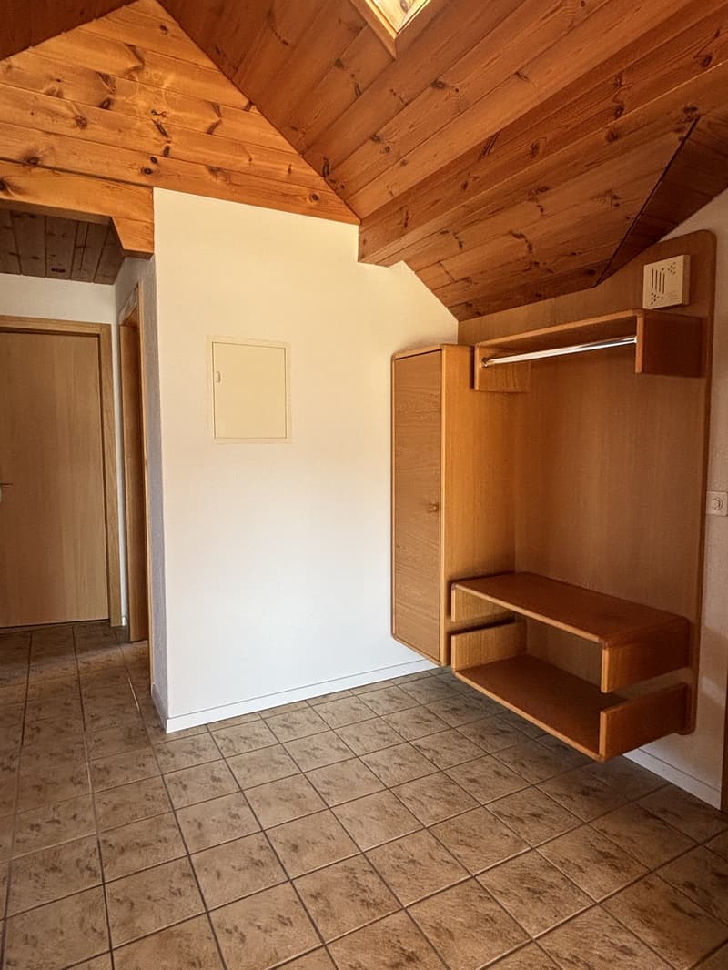 Lichtdurchflutete Dachwohnung (7)