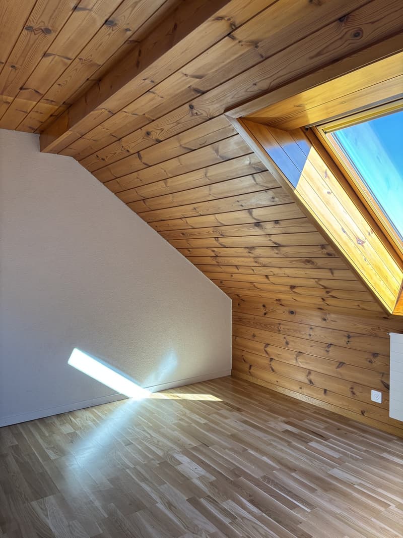 Lichtdurchflutete Dachwohnung (9)