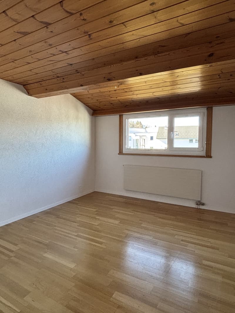 Lichtdurchflutete Dachwohnung (8)