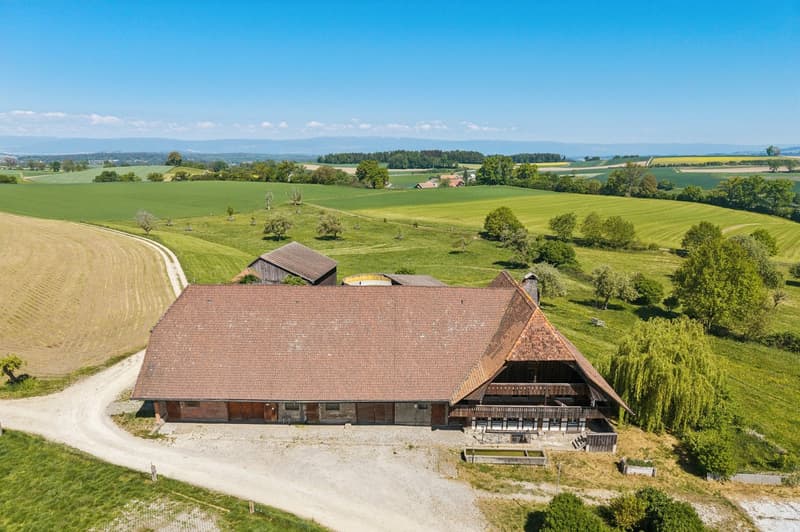 Bauernhaus mit grossem Grundstück und Entwicklungspotential in Schmitten (2)