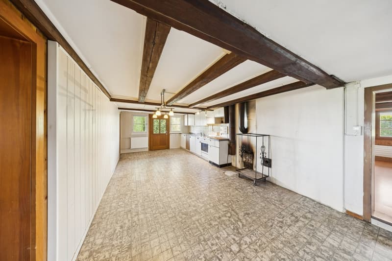 Bauernhaus mit grossem Grundstück und Entwicklungspotential in Schmitten (4)