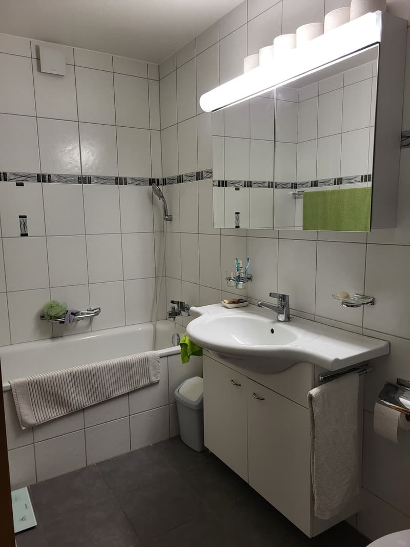Schöne 4.5-Zimmerwohnung im 3. Stock (4)