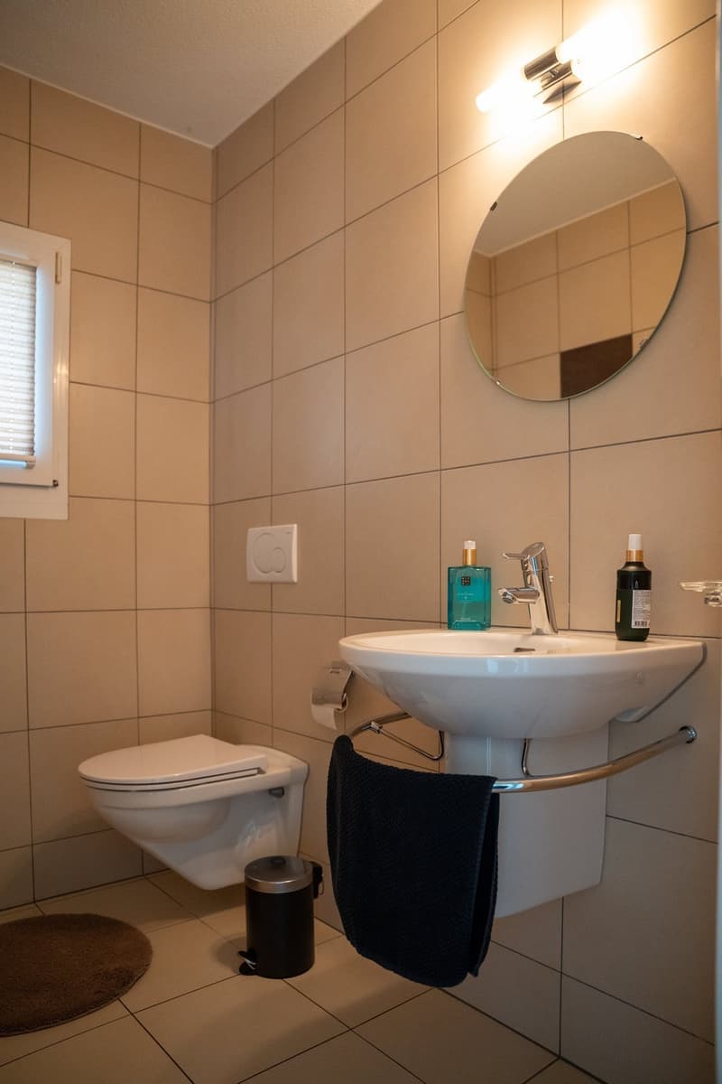 Triplex Dachwohnung im Stockwerkeigentum (8)