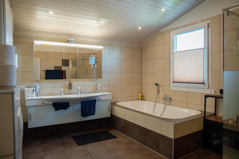 Triplex Dachwohnung im Stockwerkeigentum (12)