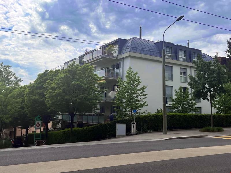 Superbe appartement de 2.5 pièces avec jardin à Lausanne (30)