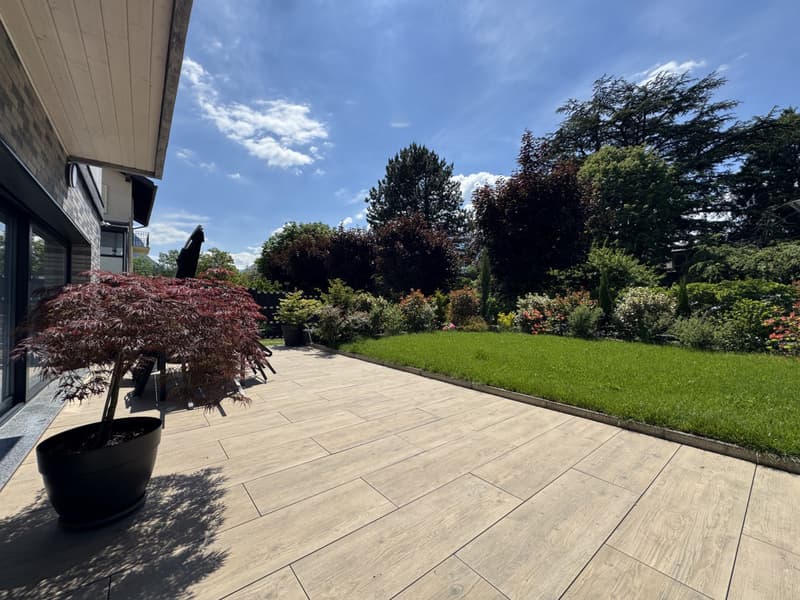 VILLA MITOYENNE D'EXCEPTION AU COEUR DE BEX (9)