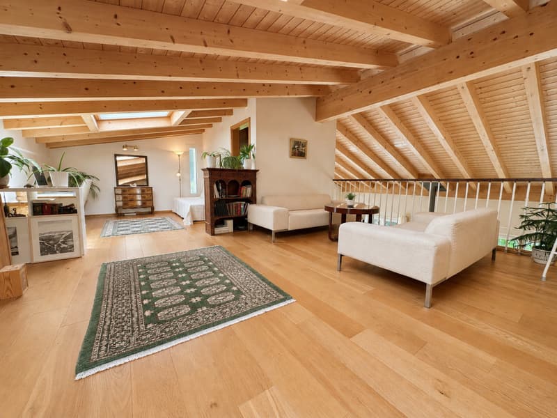 VILLA INDIVIDUELLE MINERGIE AVEC GRAND JARDIN DANS UN CADRE CALME ET ENSOLEILLÉ (6)