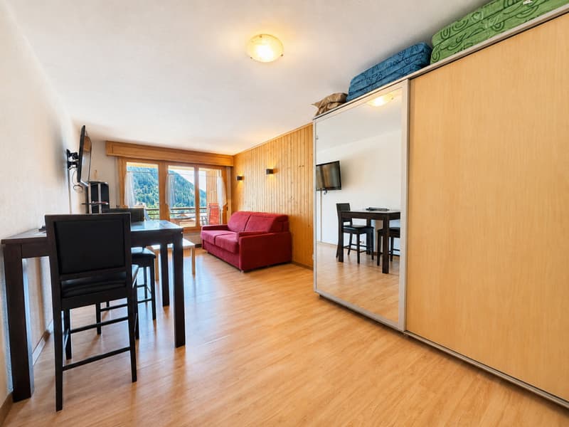 STUDIO AVEC BALCON ET VUE DÉGAGÉE AU C?UR DE VERBIER (4)