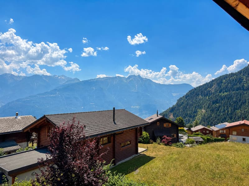 MAGNIFIQUE CHALET RÉNOVÉ - RÉSIDENCE SECONDAIRE & VENTE AUX ÉTRANGERS AUTORISÉES (12)