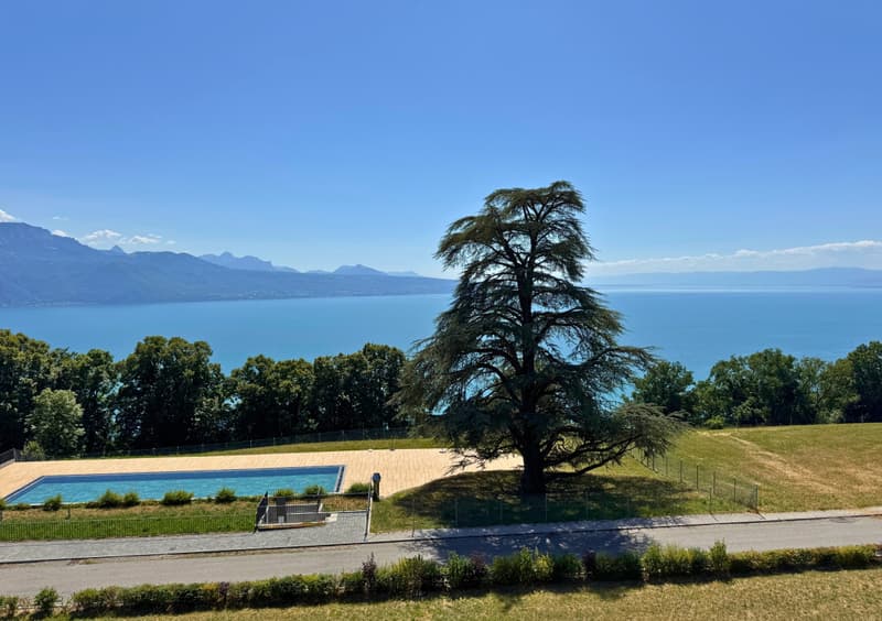 4.5P AVEC UNE VUE À COUPER LE SOUFFLE MEUBLÉ (4)