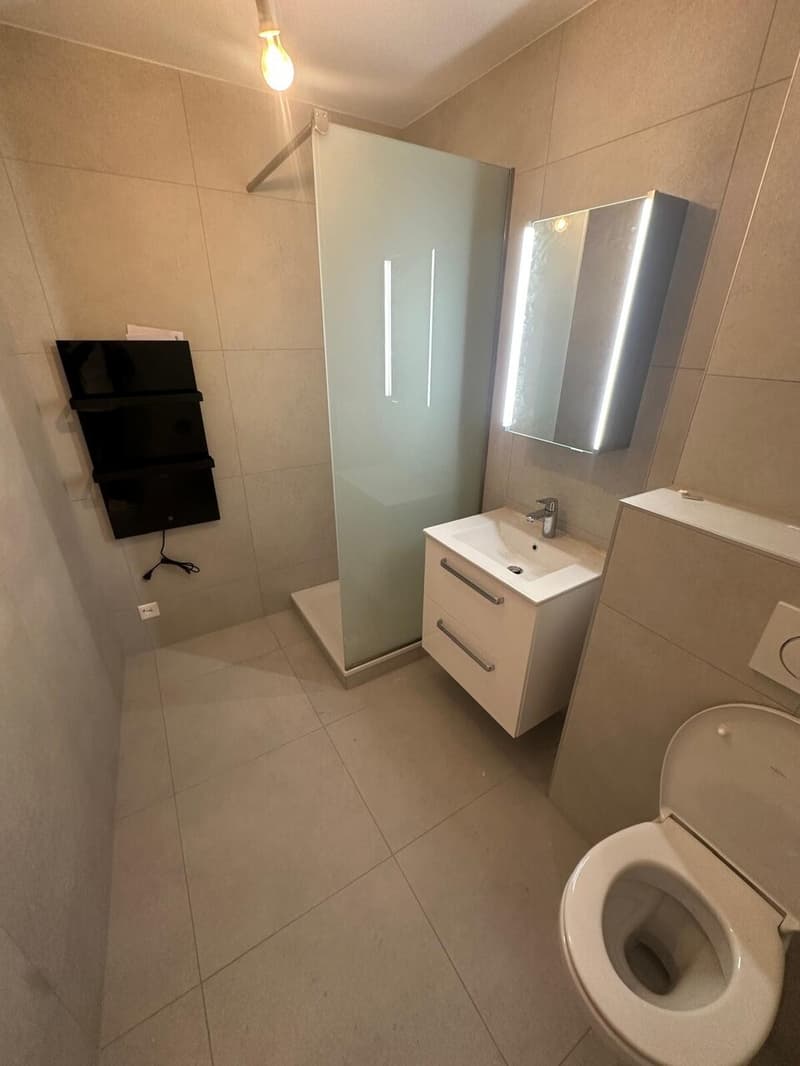 A LOUER  3.5 Pièces  1110 Morges (6)