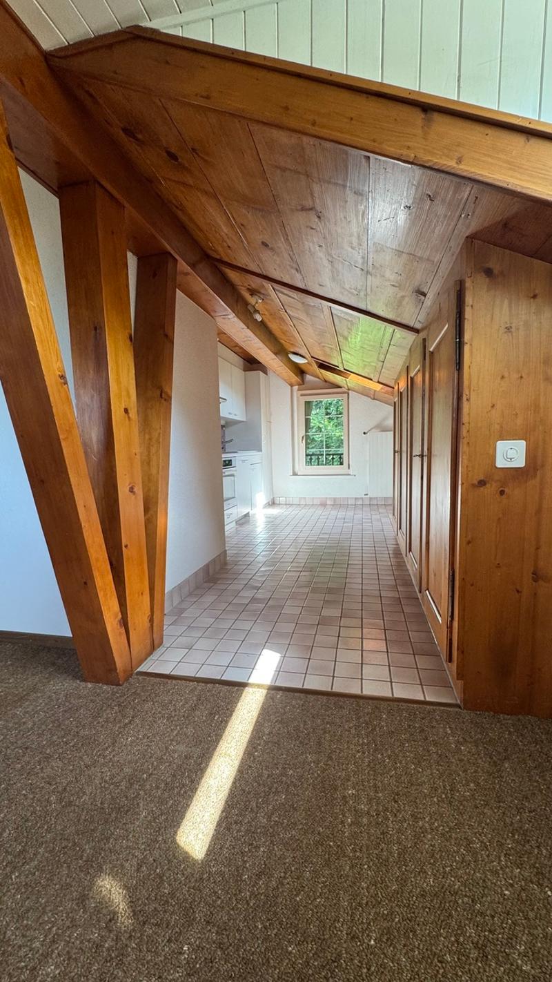 A LOUER  APPARTEMENT  1808 LES MONTS-DE-CORSIER (7)