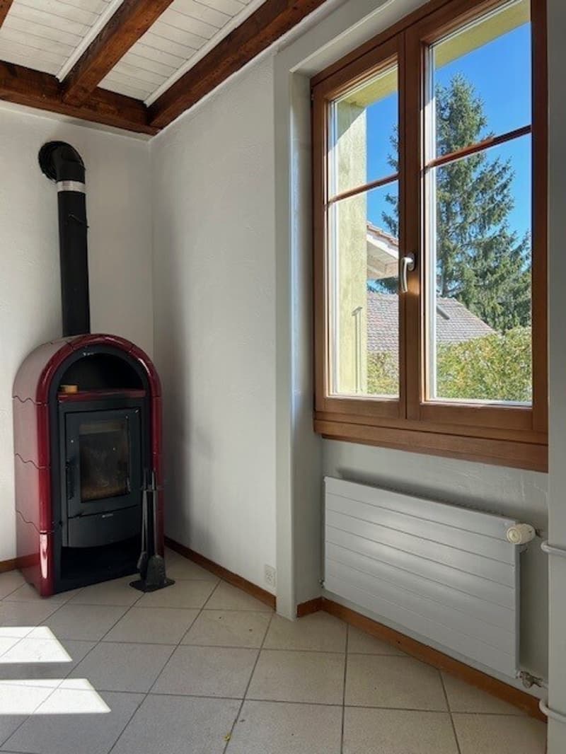 A LOUER VILLA LAUSANNE (6)