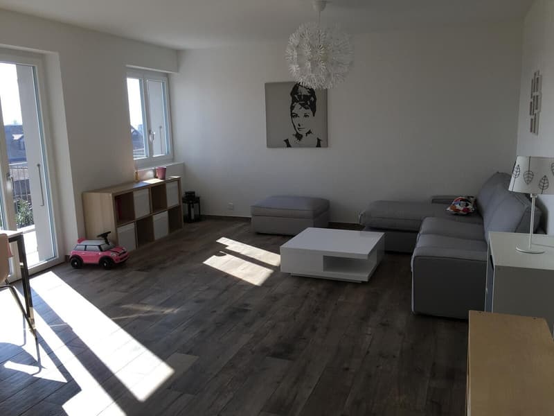 A VENDRE APPARTEMENT 1027 LONAY (2)